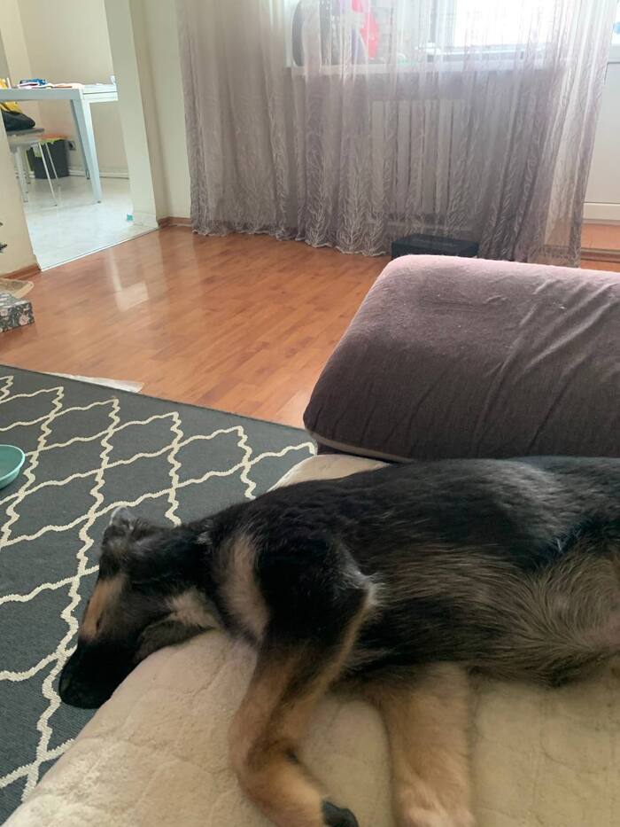 ����� ������� �� ���������