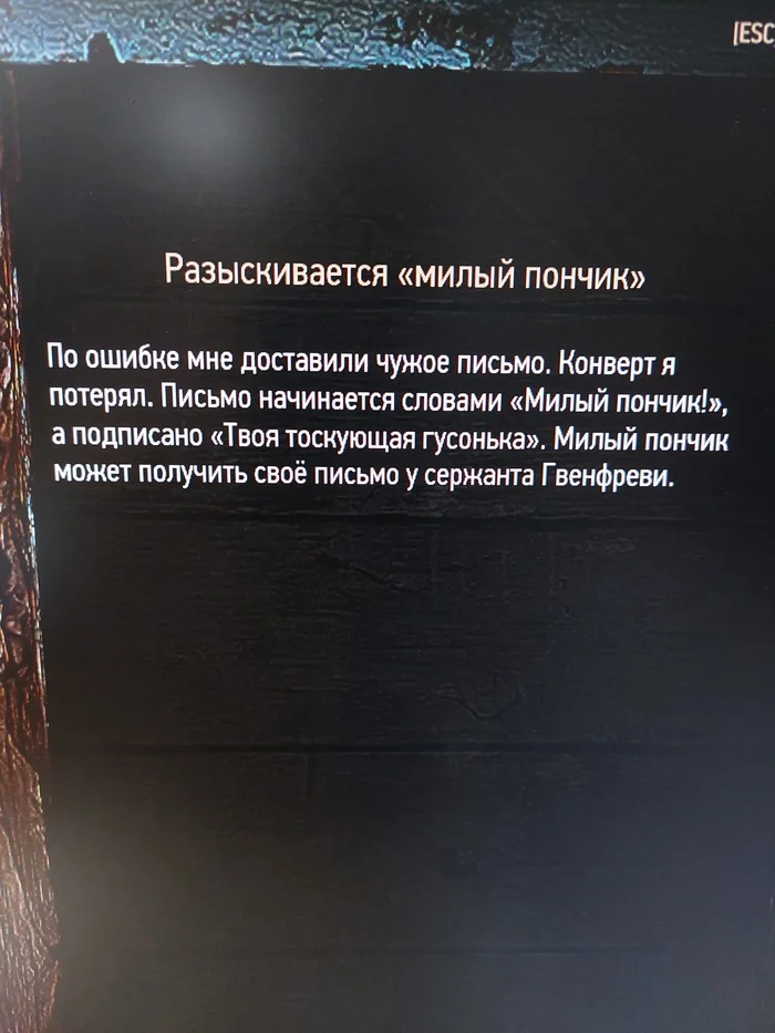 Пончик и гусонька - Моё, Ведьмак 3: Дикая охота, Ведьмак, Компьютерные игры, Милота, Пончики, Скриншот