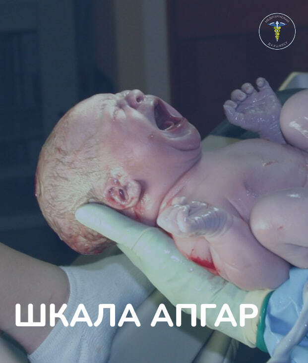 ����� ����� - ������ ���������������� ��������������