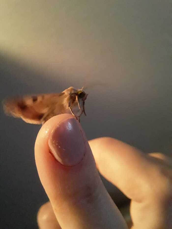 ���� �� ���� �������