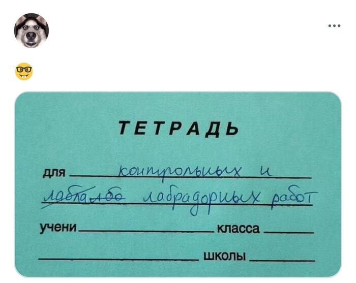   ""         :)) , , , , Telegram (), , 