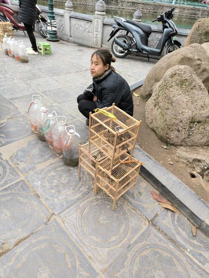 Птички и рыбки «счастья» во Вьетнаме