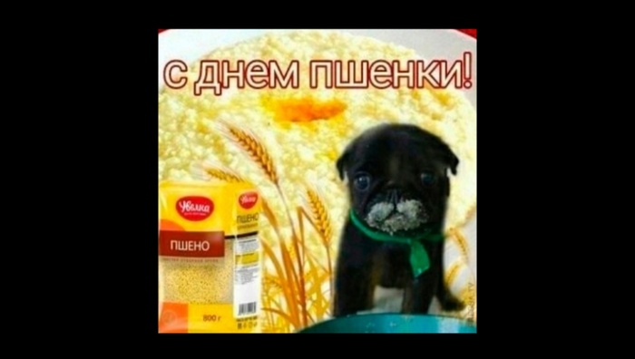 ������ ��� ��� ��������� �������������? ��� �������� �����, � ��� ����� ��� ��������: