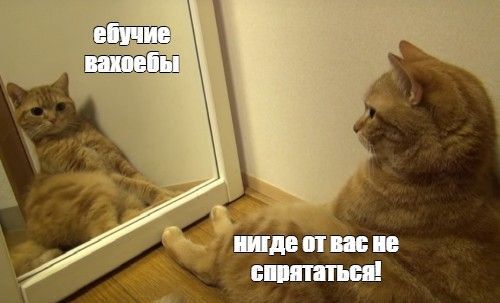 Введите описание к изображению (не обязательно, или обязательно. В прочем похуй.)