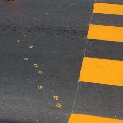 ! , , , Highway, , , 