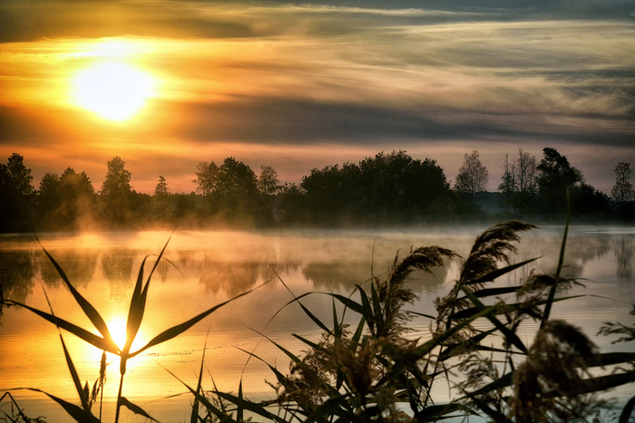 Nikon D7100 Tamron 2.8