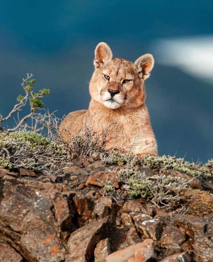 И не забудь фотки прислать!