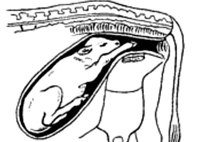     ,      ,       , ,  , , , , , , , 