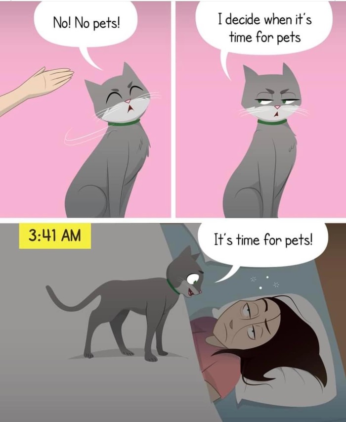   , , Pizzacakecomic