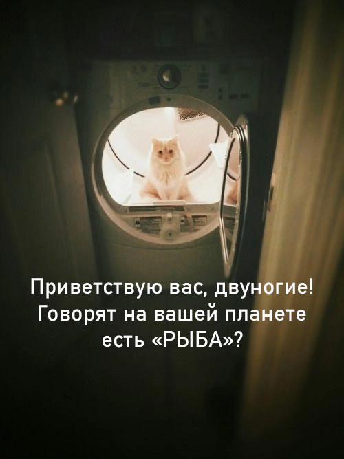     ))) , , , ,  