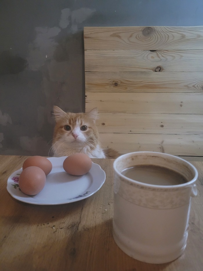  , , ,  , 