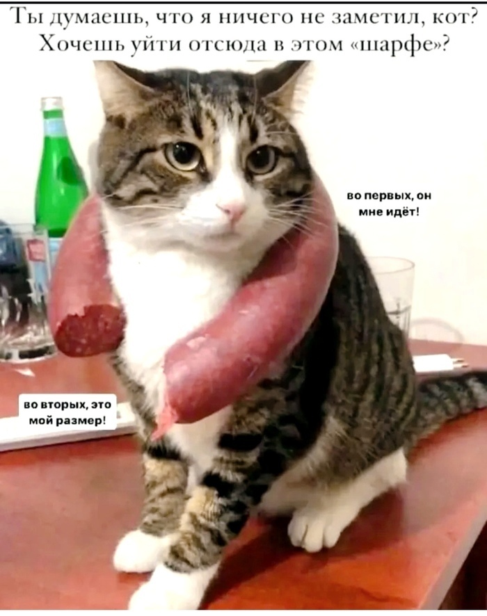 -          ,  , , ,   , 