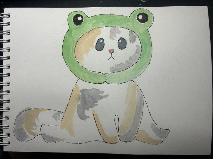 Средовая кощка