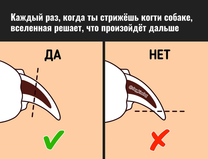 ����� ���������