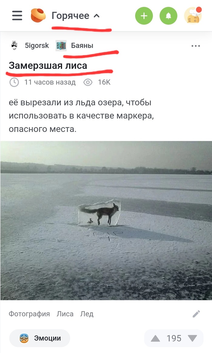 Ответ на пост «Замерзшая лиса»