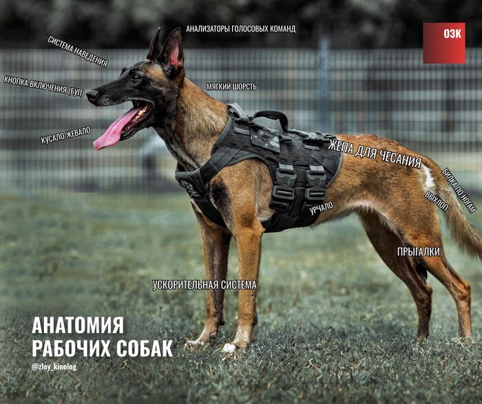   , Telegram (), , , , , , , , 