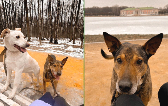 �������� ����� ���� ����� �������� �� �������