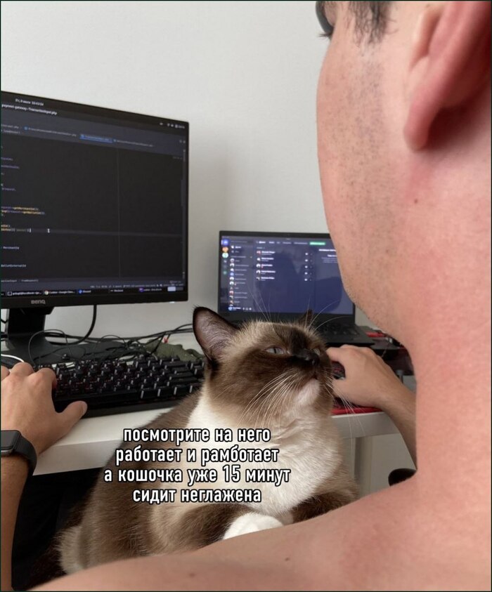 Ужас какой, полнейший беспредел