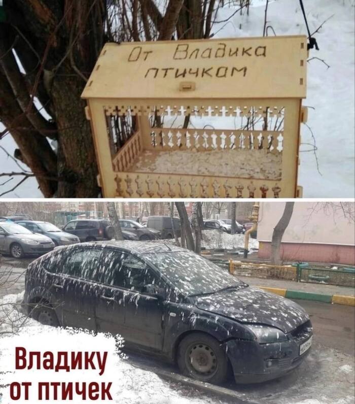 От Владика