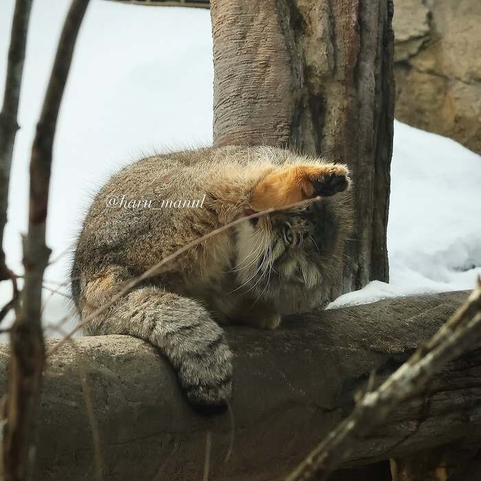    ,  ,  ,  , , , 