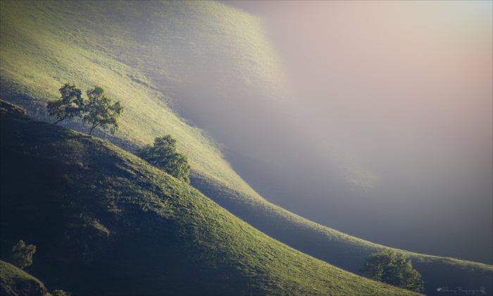   , Sony, , , , , ,  , , ,   - , -, 