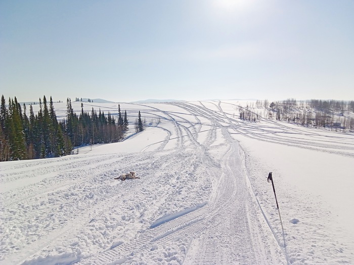 Вышли наверх