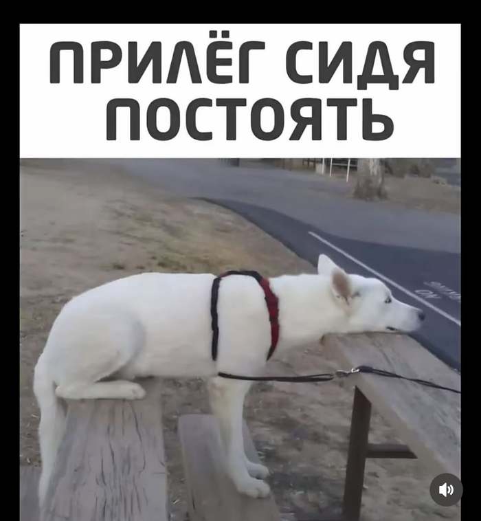    , ,   