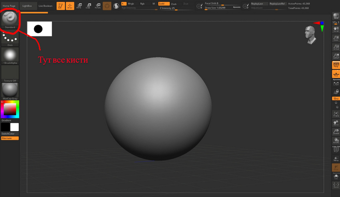 Обучение по 3D моделированию с 0 для начинающих: делаем котика-обормотика поэтапно в программе Zbrush. ЧАСТЬ 1 3D моделирование, Ручная работа, Девушки, Творчество, Творческие люди, Игрушки, 3D, Курс, Модели, Обучение, Рукоделие с процессом, Фигурки, Кот, Поделки, Длиннопост