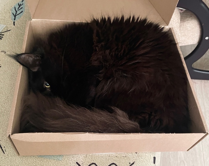    , -, ,  ,  , 