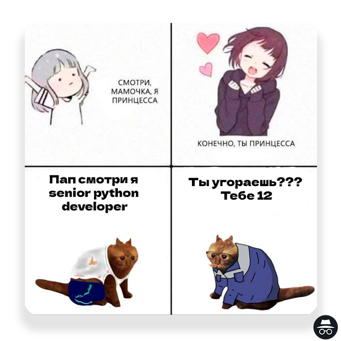   IT, , , IT , , , Python,   