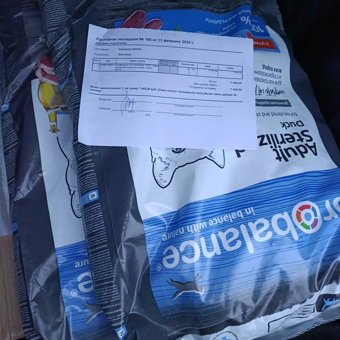  ,     ,  ,  , , , , , , , ,  , 