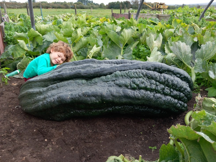 Кабачок Марка Баггса с его ребёнком.