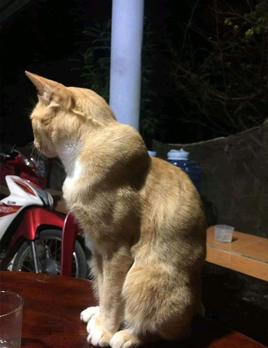    , ? , 