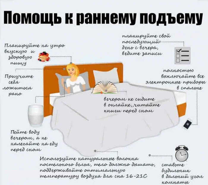 How to learn to get up early and get enough sleep: a comprehensive analysis of sleep regulation methods - My, Article, Research, Development, Brain, Longpost