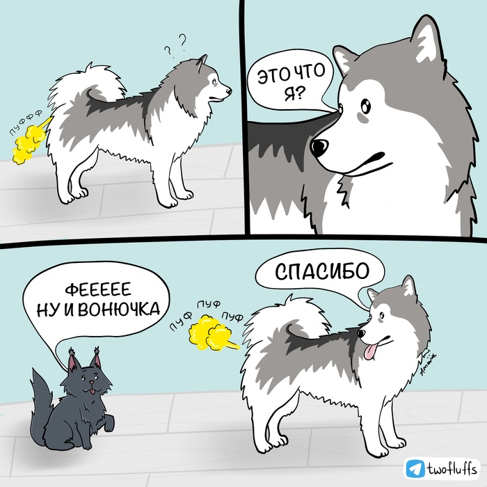     , ,  , ,  