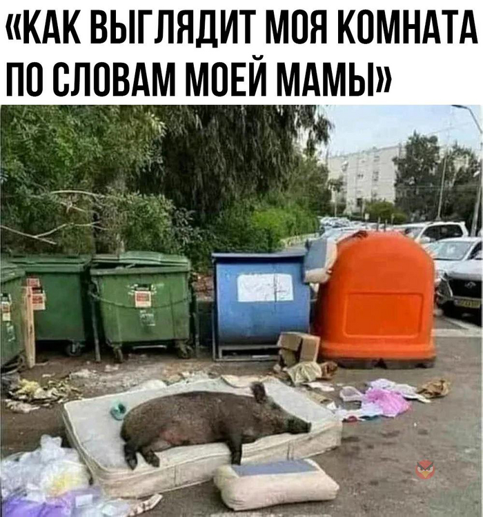   ,   , , , , , ,  , , 