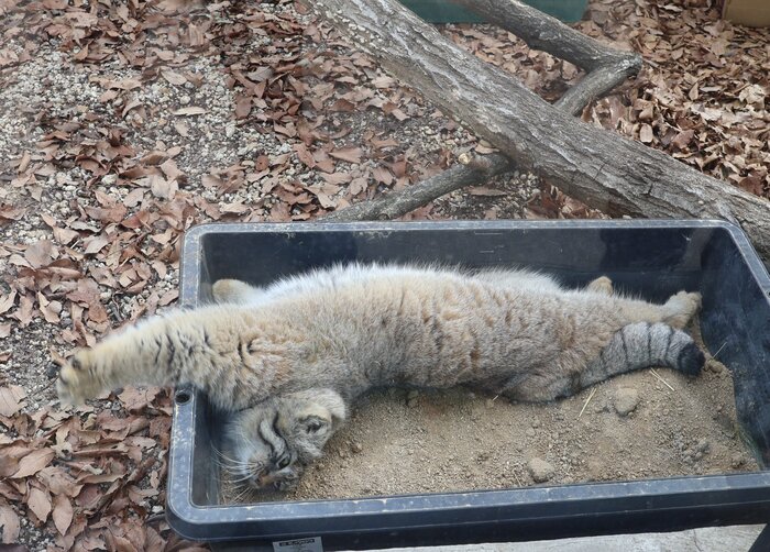 ����������������