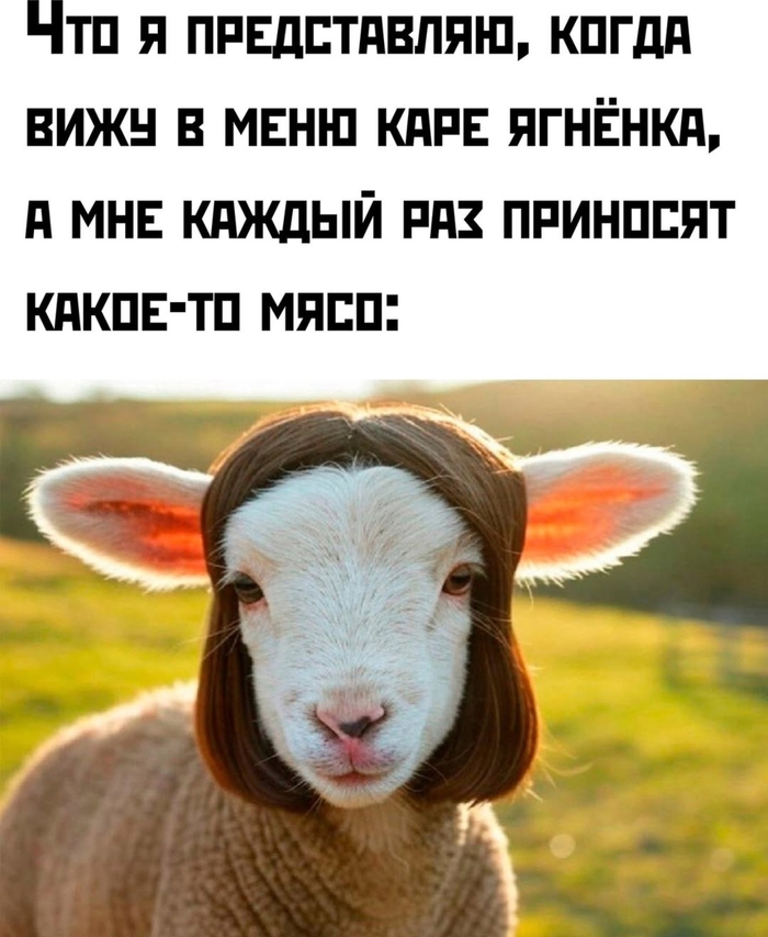  , , ,   , 