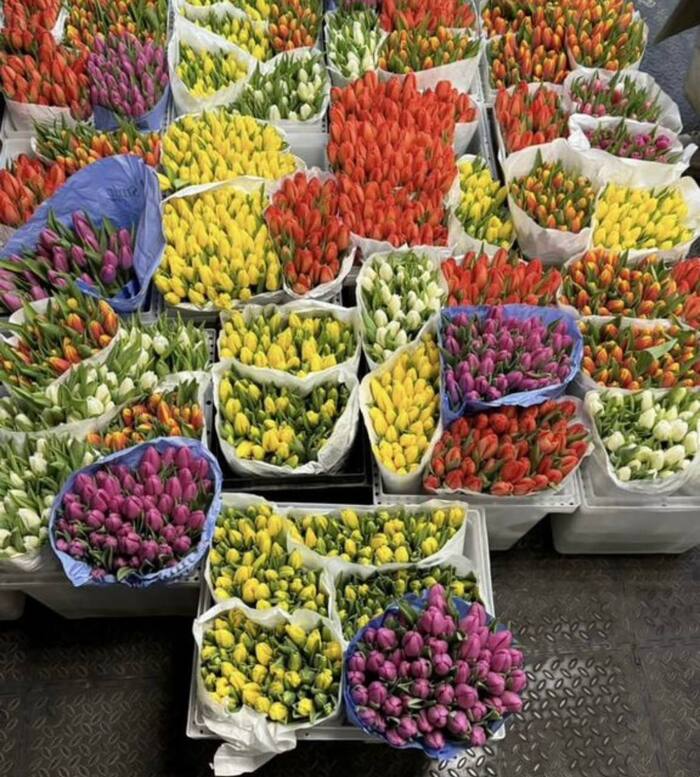 ��������� ������: ��� �������� � 8 ����� 40 000 ��������� � ���������� � ����� 700 ������