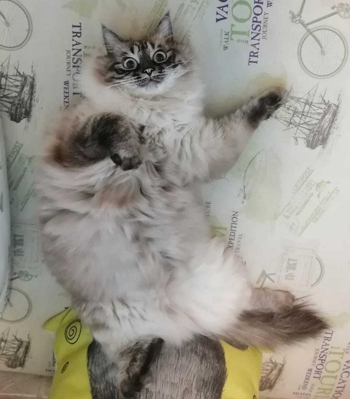  , ,  , 