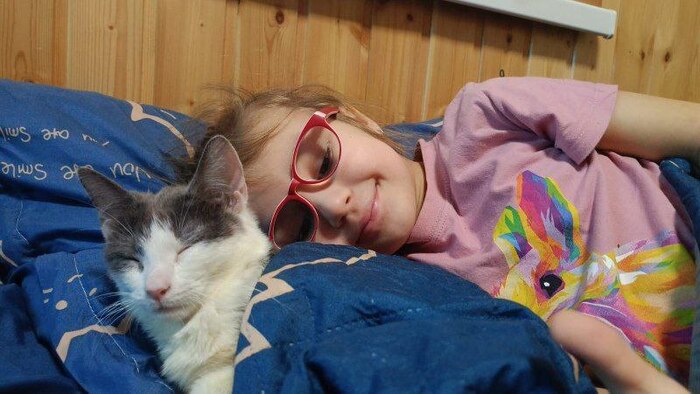 ������ �� ����