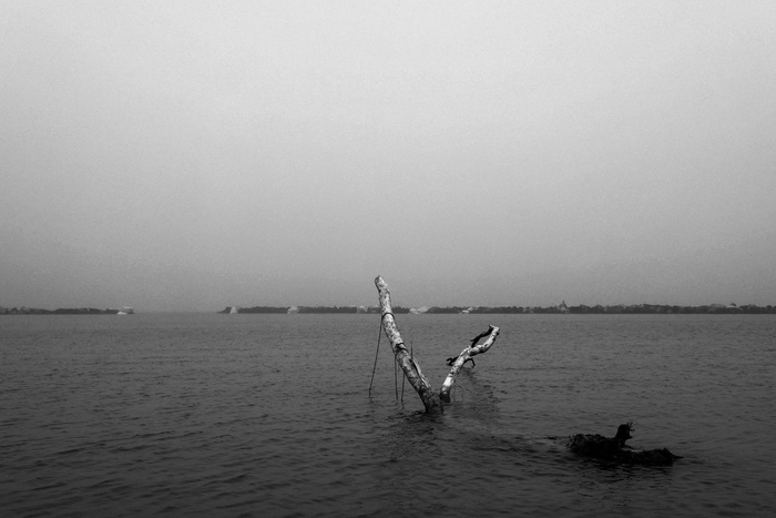     , , - , -, , , , , , , , Nikon, 