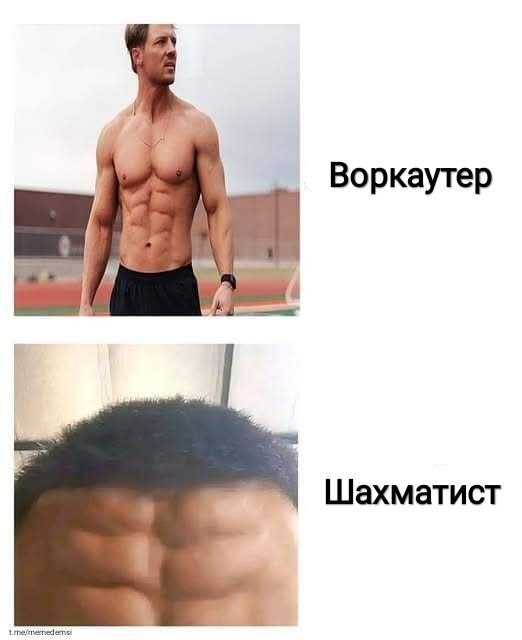  vs  ,   , , , , Telegram ()