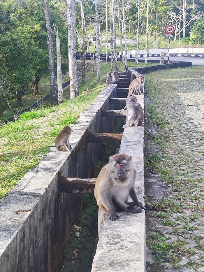        .      ,     .      ,        