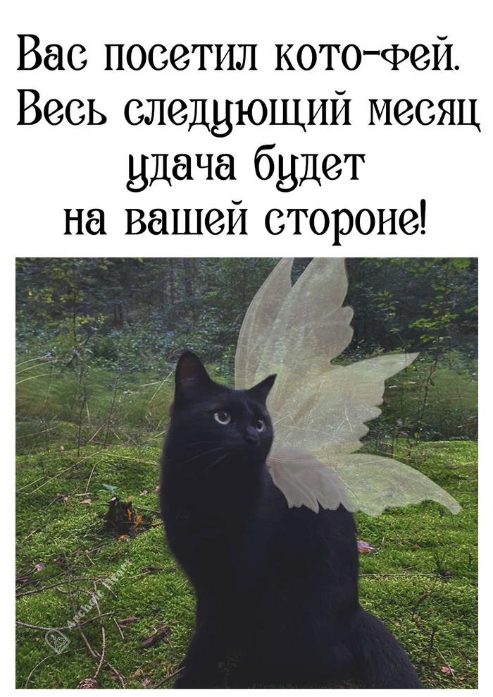  , ,   , ,  , ,  