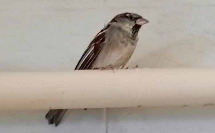 �� ����� ��� �������� � �������� �� ����, �� ������ � �� ��������, ������ ����� � ���������.