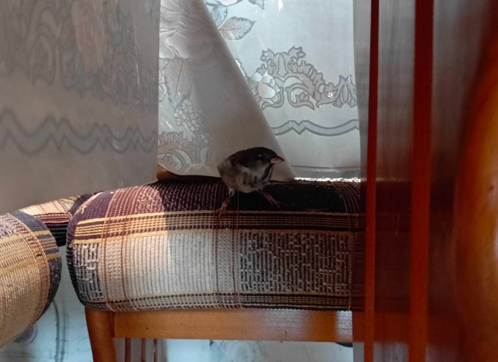 � ��� ������������ ����� �����, ��� �� �������� ���� �� ����� � � ��� �����, ������ ���� ����