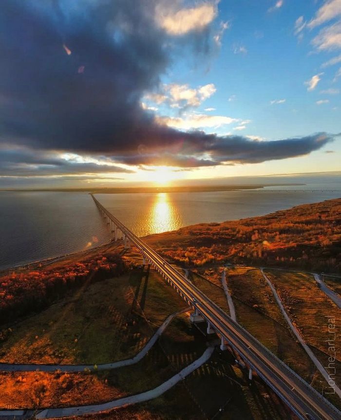 ���� lion_he_art_real 