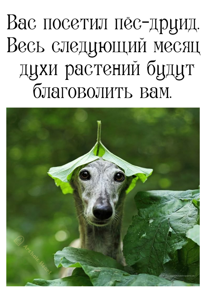          , , ,   , , , , , , ,   