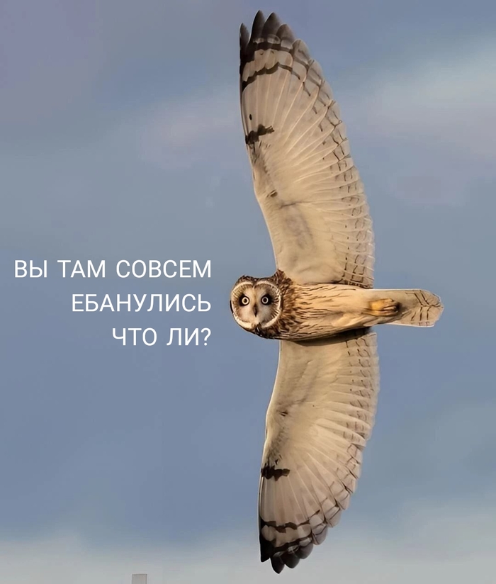    ,   Ҹ ,  , , ,  ,  , , ,    ,   ,   